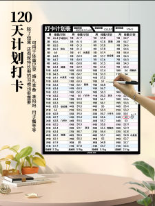 Magnetic Wall Stickers Fitness Weight Loss Plan Chart Fridge Magnet Beautiful Recordings Daily Plan Chart Stick on Wall