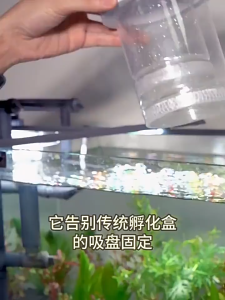 SKISOPGO Floating Fish Hatching Box Transparent Guppy Fish Eggs Breeding Isolation Box Aquarium Accessories