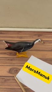 Patung Boneka Burung Ruak Ruak Model Baru Premium