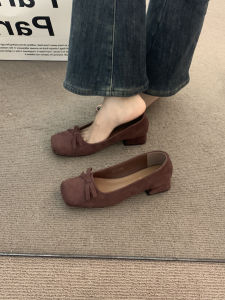 Retro Brown Bow Knot Chunky Heel Womens Shoes Soft Bottom Commuter Black Evening Shoes Spring Autumn round Head Ultrafine Fiber