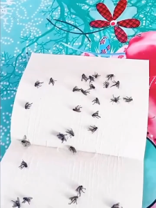 Contains powerful attractant Fly Trap Once stuckno way out perangkap lalat Easily capture flies by exploiting their physiological characteristics pelekat lalat penghalau lalat  pelekat serangga fly catcher Fly Lure  苍蝇贴