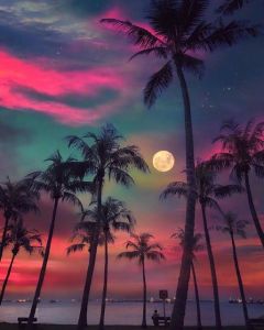 1000Pieces Jigsaw Puzzle Peaceful Sunset Landscape With Trees For Adults Ideal For Stress Relief And Relaxation