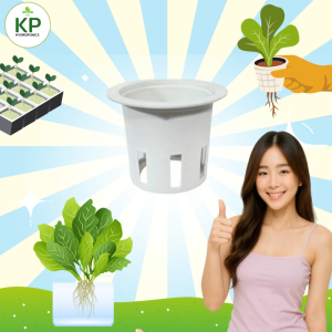 ถ้วยปลูกผัก ถ้วยปลูกผักไฮโดรโปนิกส์ ถ้วยปลูกผักสลัด ถ้วยปลูกสีขาว แบบใช้ซ้ำได้ ถ้วยปลูก Hydroponics