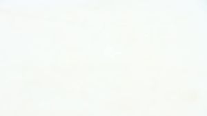 BEFRAG For Cummins M11/N14/L10 Injector Valve Ceramic Core Metering Plunger for Injector 40262224061851490292149034723411751