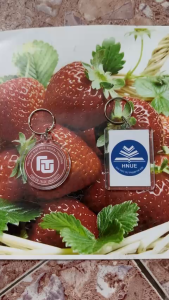 in móc khóa theo yêu cầu làm móc khóa trường đại học sản phẩm sử dụng mực dầu chịu nước