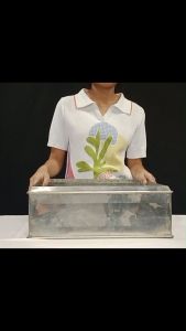 ถาดนึ่งขนมปัง สี่เหลี่ยม สแตนเลส