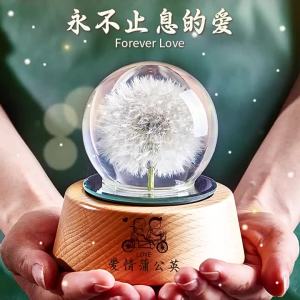 LAIZIXINGXINGDELIPIN | Dandelion Preserved Flower Rotating Music Box