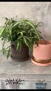 Elegant Style Cement Round Ceramic Pot Desktop Potted Fleshy Flower Pot Colorful Porcelain Flower Pot 606