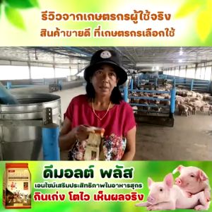 อาหารวัว DMOLT PLUS ดีมอลต์ พลัส เอนไซม์และแร่ธาตุเพื่อการเจริญเติบโต ปลอดภัย ได้มาตรฐาน GMP และ HACCP FAMI-QS