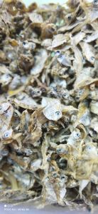 Ikan asin PETEK super KECIL / pirik / dokdok 1kg super kering garing paling murah