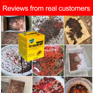 10 years of no flies Effective Flies Killing Powder【20 bags/box】Kill all flies in 1 second racun lalat paling kuat Fly mortality rate 100% fly killer Flies favorite food lalat killer Suitable for various places ubat pembunuh lalat fly trap 灭苍蝇药
