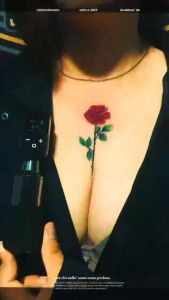 AMBITION Kuark Wireless Rechargeable Battery & RCA Interface Tattoo Pen: A Universal Power Supply Solution