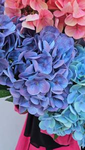 BUNGA HIAS ARTIFICIAL HYGRANGEA LATEX 5 CABANG BUNGA DEKORASI WEDDING