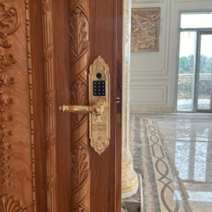 Khóa cửa điện tử tân cổ điển Kassler KL-919 pro app wifi chính hãng công nghệ tiên tiến của Đức