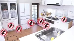 Hộp diệt gián Nhật Bản 12 viên không gây độc hại cho vật nuôi