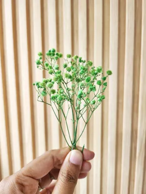 ecer baby breath mini preserved flower - dried flower - bunga kering hiasan resin scrapbook jurnal mahar