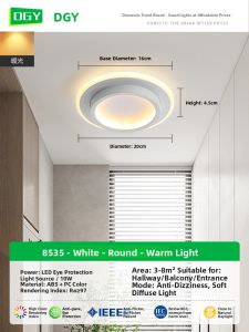 DGY | Modern Simple Corridor Ceiling Light