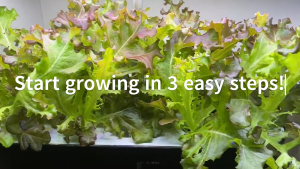 Smart Home Hydroponics Kit Black Aerogarden Urban Green Dot