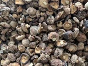 เห็ดหอมแห้ง เกรด B 4 ไซส์กลาง 1 Kg นำเข้าโดยตรง พร้อมส่ง