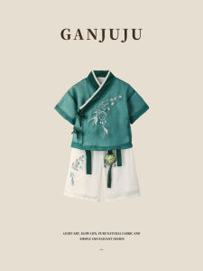 Boys Hanfu Clothing Set Thin Style Summer Childrens National Learning Ancient Costume Baby One Year Old Ceremony Dress Suit