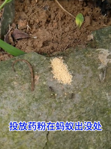 ยาฆ่ามด กำจัดมด -ของแท้ 100%- สินค้าผลิตใหม่ 1 ซอง ขนาด 5 กรัม กำจัดมด แมลงได้