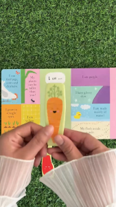 Little Tiger - Press Out & Play Book Series