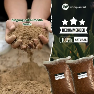 Cocopeat Serabut Kelapa Halus Media Tanam Tanaman Hias