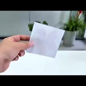 5/10pcs Odorless Stickers Fly Traps Catchers Strong Adhesive Mosquito Catcher For Windows Walls Cabinet Doors