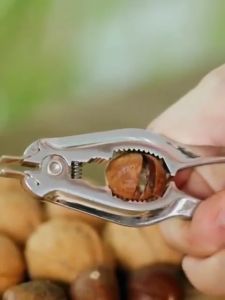 Pembuka Kerang Clam Opener Seafood Cracker Nut Cracker Practical Kitchen Opener Tools