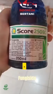 FUNGISIDA SCORE 250EC Zat Pengatur Tumbuh Tanaman by Syngenta Obat Jamur Ampuh