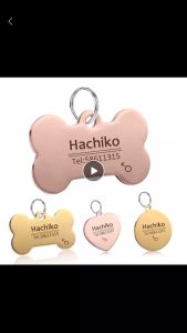 Stainless Steel Pet Collar Accessories: Customized Dog & Cat ID Tags