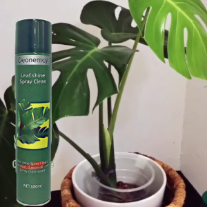 【BUY 1 TAKE 1】680ML Natural Indoor Plant Leaf Shine Spray for Fiddle Leaf Fig Rubber Tree & Indoor Plants