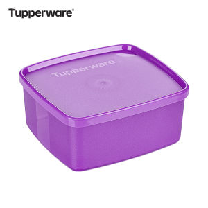 Tupperware | Portable Refrigerator Storage Sealed Box 6 Set