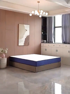 Rarus Memory Foam Mattress Breathable Mattress Knitted Fabric Mattress High Resilience Foam Mattress