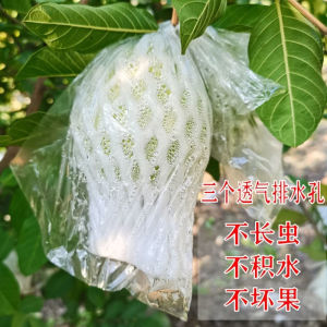 🔥品质现货🔥✸∋ Guava guava bagging fruit protection net cover tree insect-proof bagging bag Guava guava bag芭乐番石榴套袋水果保护网套 树上防虫套袋 包番石榴芭乐一体袋sar655998.my