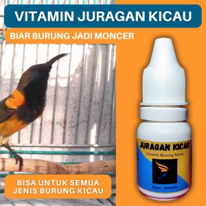 Juragan Kicau Vitamin Burung Biar Gacor Untuk Semua Burung Penggacor Lomba Dan Harian