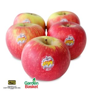 CTG South Africa Joya Cripps Red Apple 5/10PCS -[Sweet] [Good for snacking & salad making] - Imported Fresh Fruits - Garden Basket