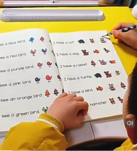 Reading Fluency Comprehension Strip English Reading Practice Book Primary School 儿童英语阅读流畅理解训练书 阅读练习