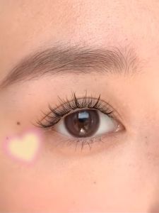 Glossy BEAUTYLENS soflens natural 14.5mm 0~-8.00 derajat contact lens - Lensa kontak berwarna 12 bulan