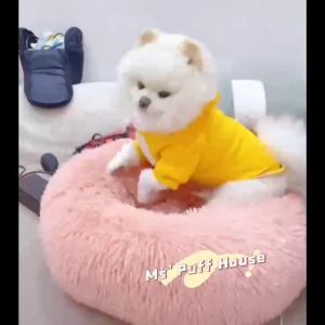 ที่นอนแมว ที่นอนหมา ที่นอนสัตว์เลี้ยง ที่นอนโดนัทสัตว์เลี้ยงนุ่มนวลหลับสบาย(พร้อมส่ง)