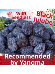 Wild Non-pitted Black Jujube  Taishan Origin