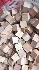 50 Khối Gỗ Mini Chưa Hoàn Thiện 2cm Hình Vuông Nguyên Khối Nguyên Liệu Làm Thủ Công Dùng Làm Đồ Chơi Xếp Hình Tự Làm Và Đồ Chơi Giáo Dục Cho Trẻ Em