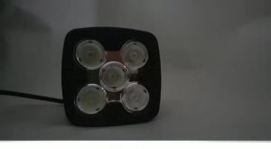Lampu Sorot 5 Mata LED 5 Mata 50 WATT 65MM