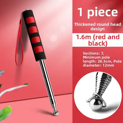 DISCO BEAR | Adjustable Portable Stainless Steel Flagpole 3m