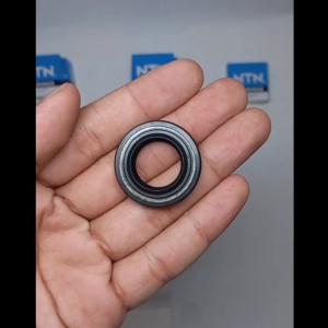 Seal TCL 19.05 32 6/6.9 Nok INB Original Nok