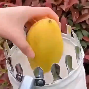 【Ready StokCOD】6M Buah Picker Set Galah Pemetik Buah Orchard Berkebun Peach Apple Pohon Tinggi Alat Pemetik Buah / metal fruit picker Tongkat Panjang Untuk Petik Buah