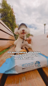 Mind Up - Kenko Care Dogs Alcohol-Free Dental Wipes | Made in Japan (30 sheets)