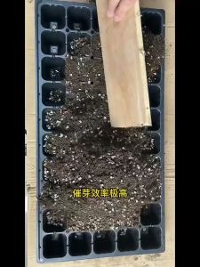 Holes Seedling Tray Plastic Nursery Tray 21 50 128 200 Seedling Tray Bekas Benih Plastic Tray Benih Semaian 育苗盘 育苗 穴盘 托盘