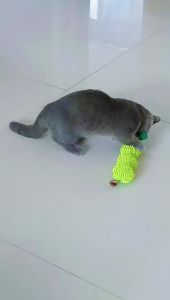 New Design Catnip Caterpillar Cat Teaser Toy Molar Relieving Stuffy Self-Hi Wholesale Insect Gall Fruit Cat Toy