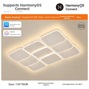 Modern Geometric LED Ceiling Light